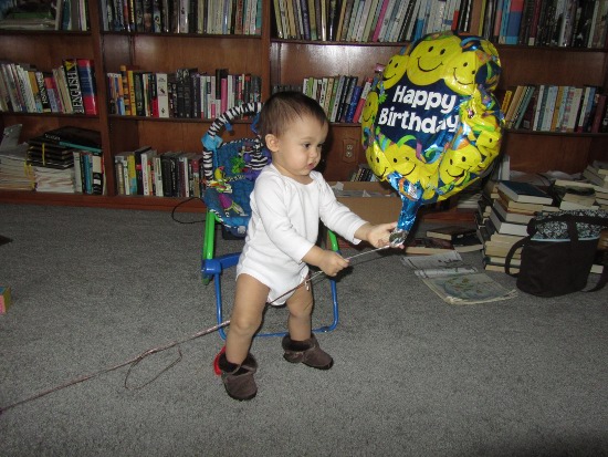 Wrestling with a leftover balloon from his party