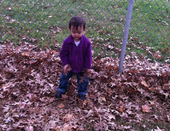 Whee! Leaves are fun!