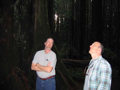 Vin and Jeff, looking up at the treetops