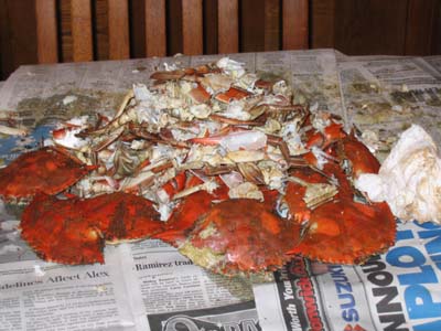 Vin ate all these crabs