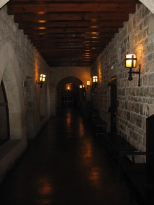 Dimly lit medieval corridors