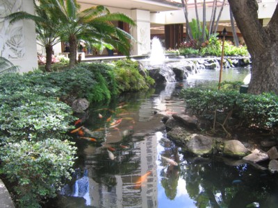 One of the many koi ponds