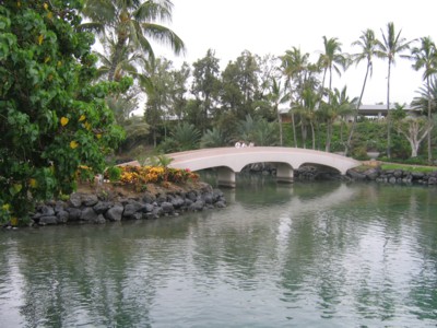 Bridge over the lagoon
