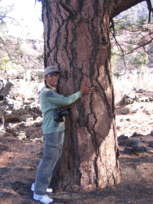 Abah became a tree hugger
