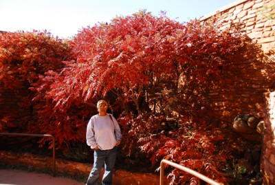 Red tree at Red Rock State Park!
