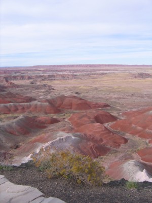 One more view of the Painted Desert