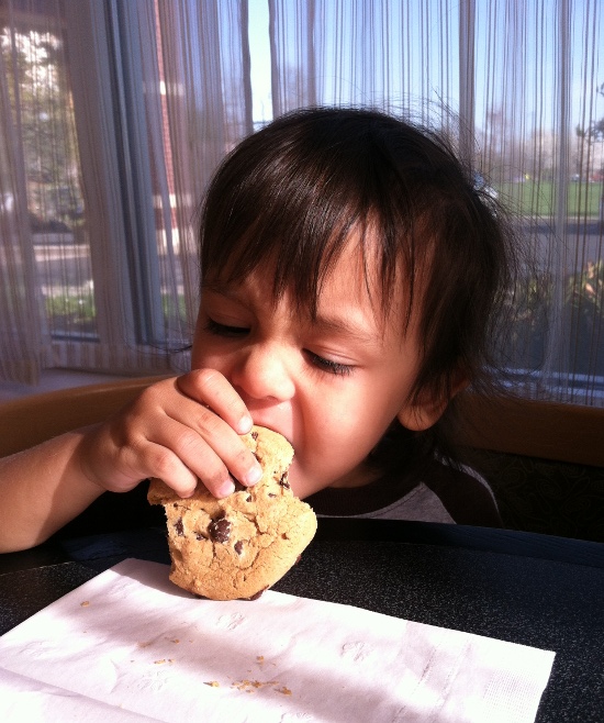 Noshing on a cookie