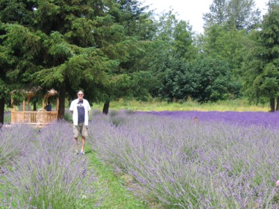 Vin in a field of lavender